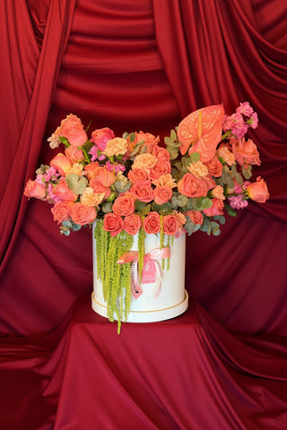 BOX 50 ROSAS ROSAS