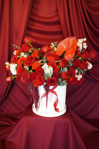 BOX 50 ROSAS ROJAS